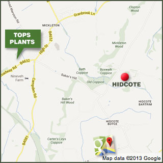 Hidcote on Google maps